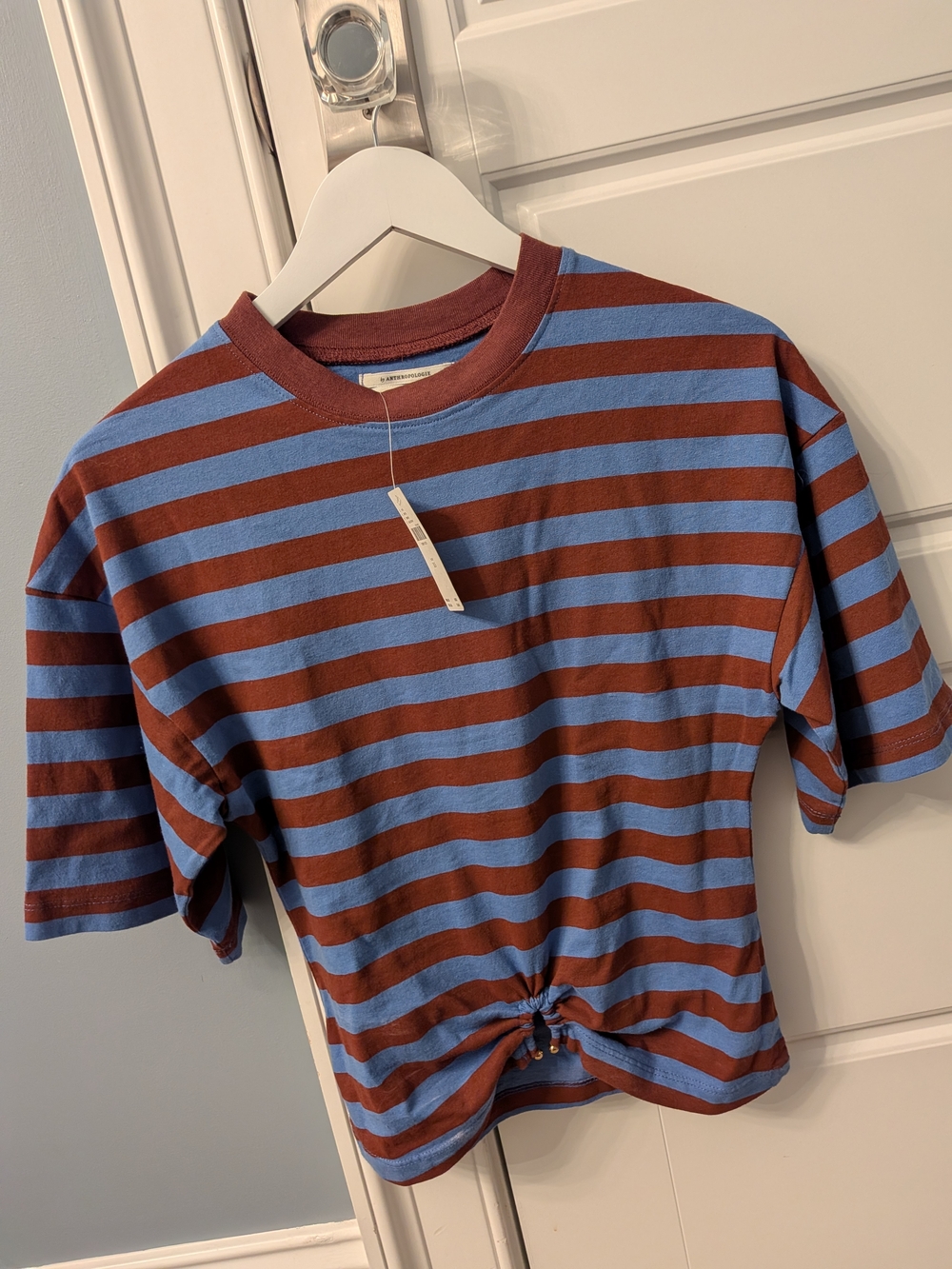 Anthropologie Blue Tee with Brown Trim